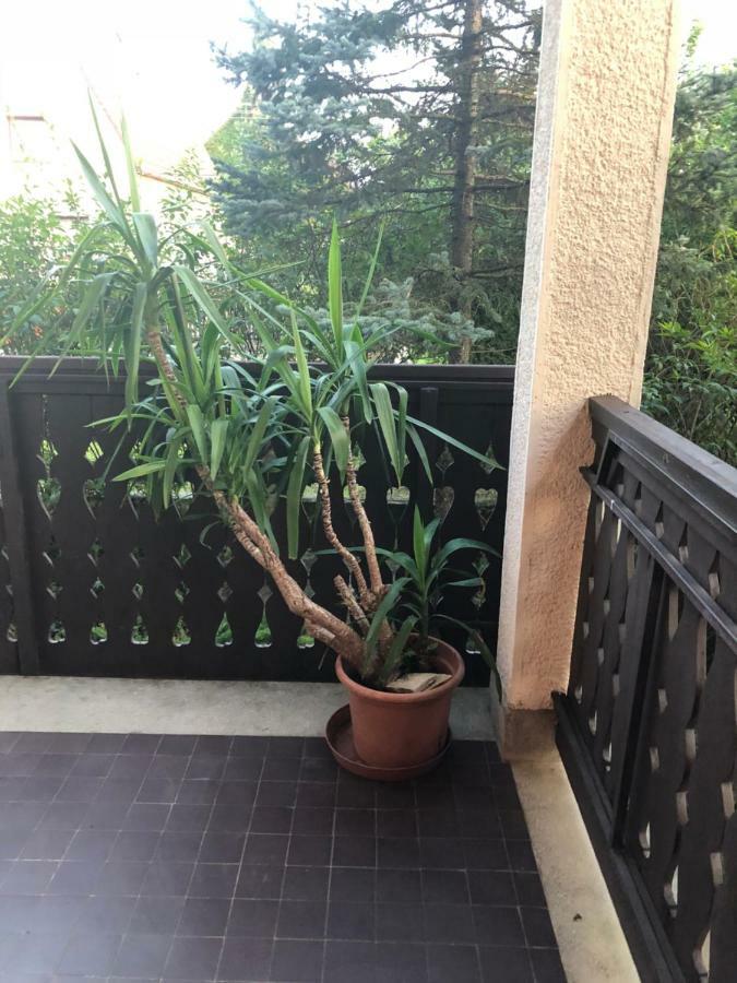 Veranda Apartman Nyíregyháza المظهر الخارجي الصورة
